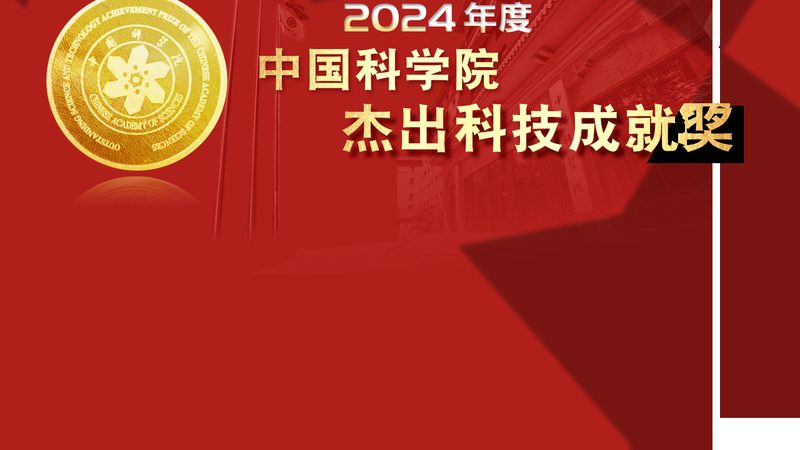 自建电商平台外包开发：揭秘高效流程与关键步骤
